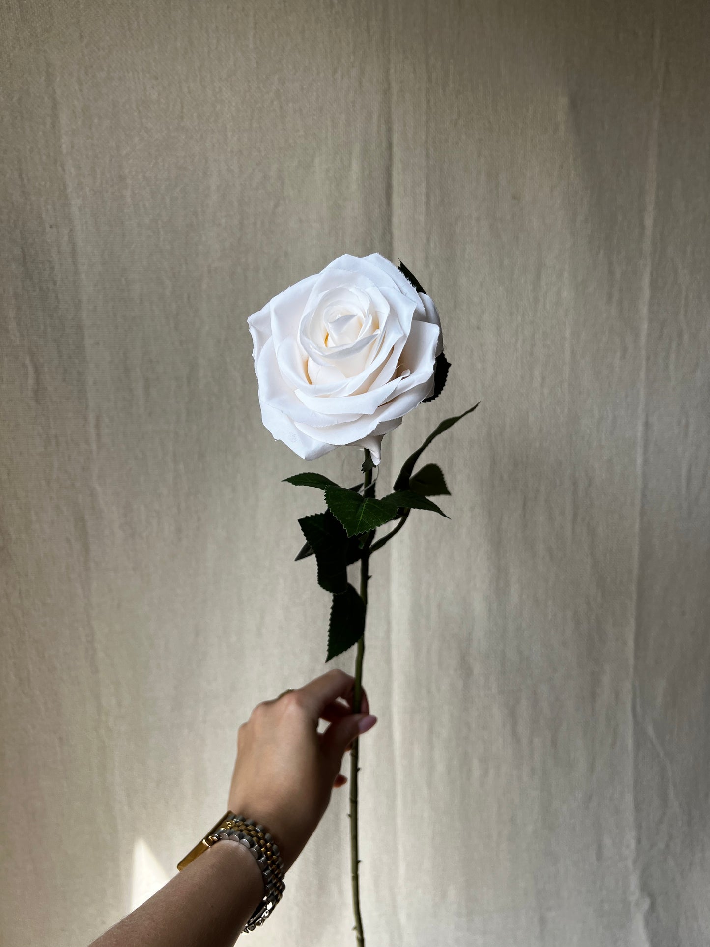Witte rozen