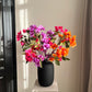 Bougainvillea