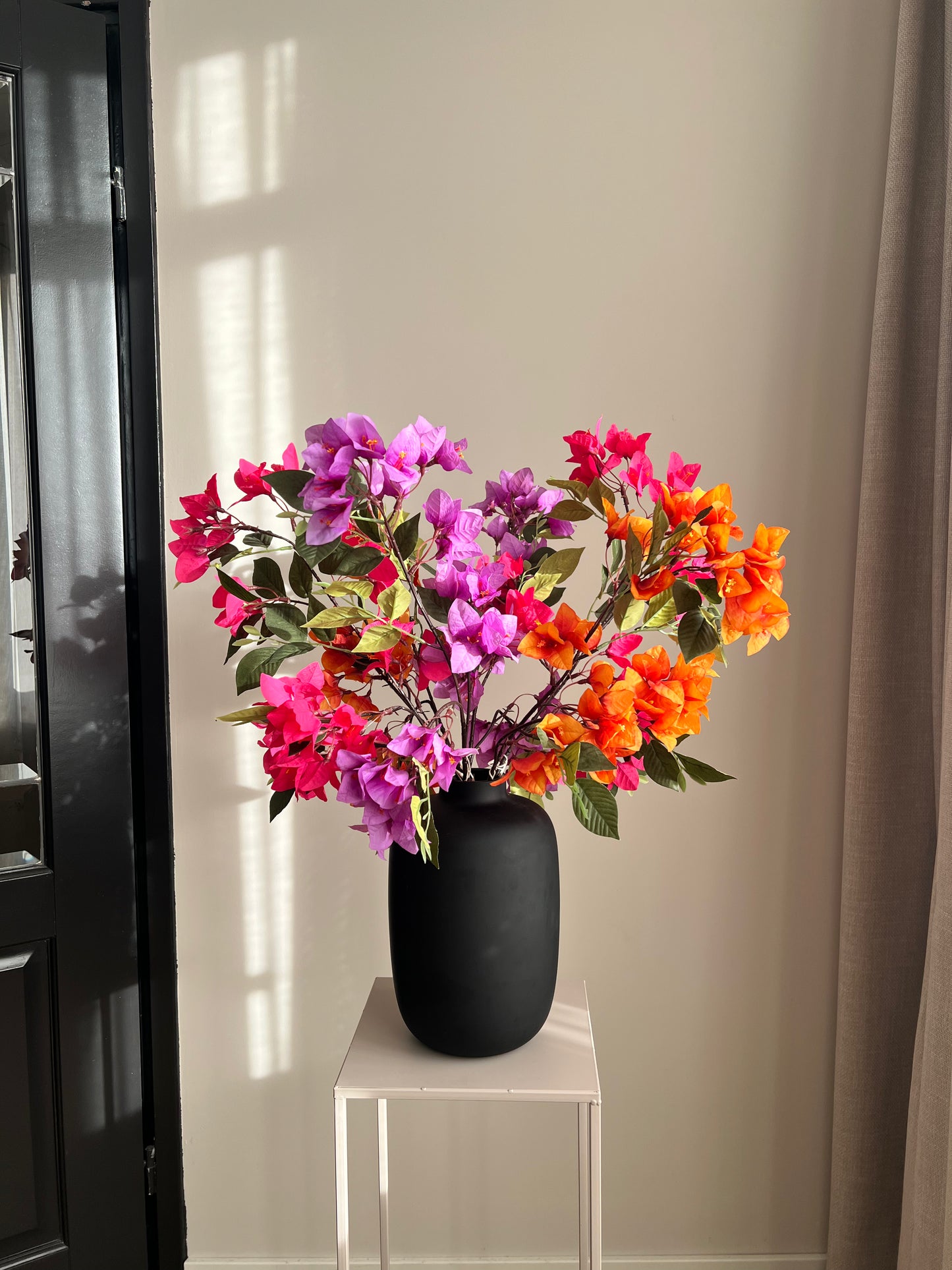 Bougainvillea