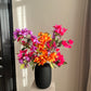 Bougainvillea