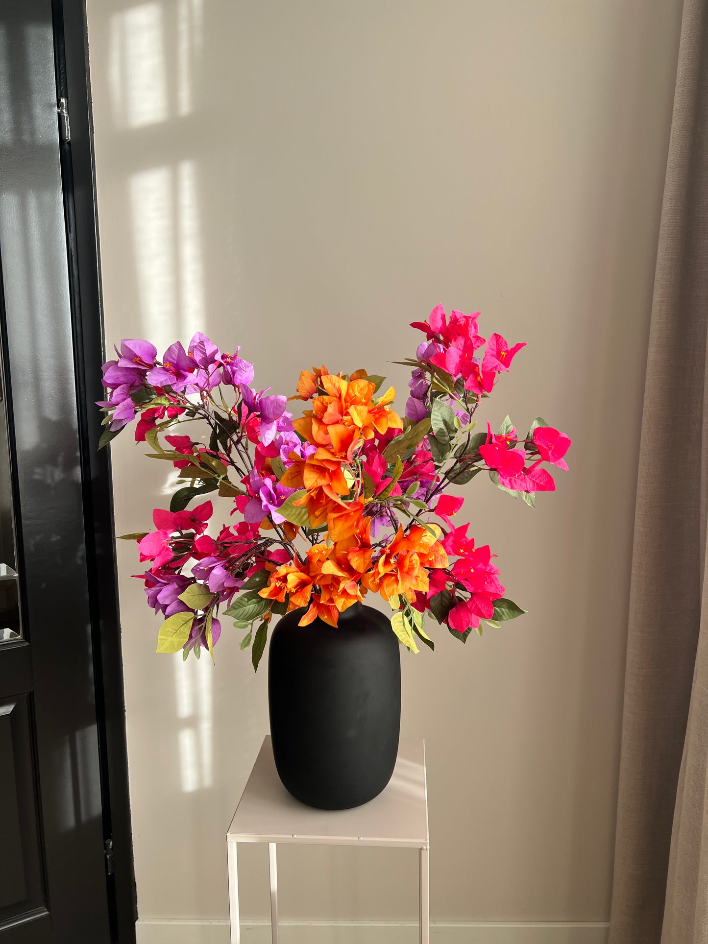 Bougainvillea