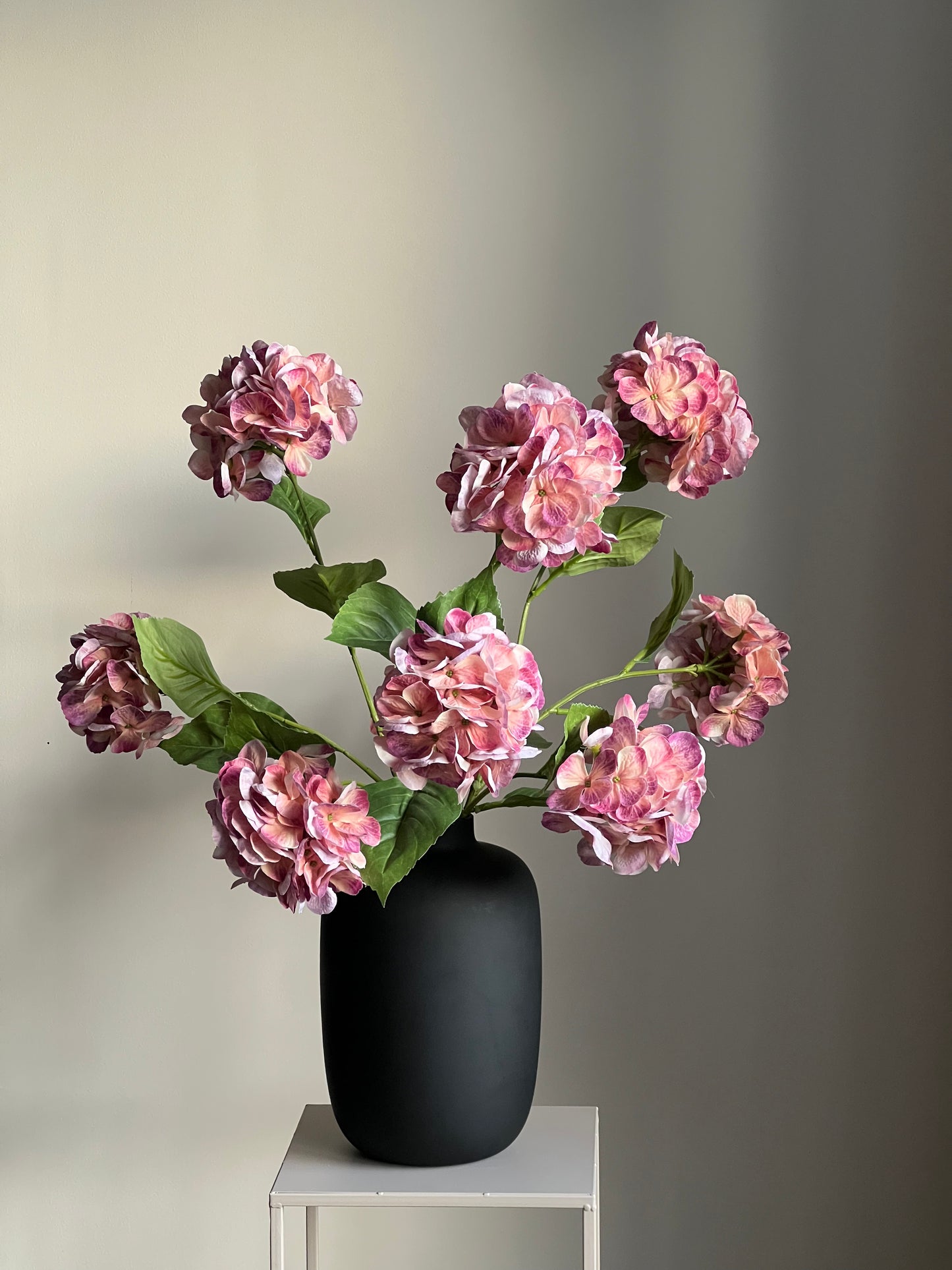 Hortensia's