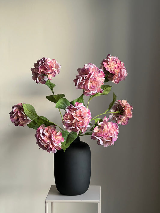 Hortensia's