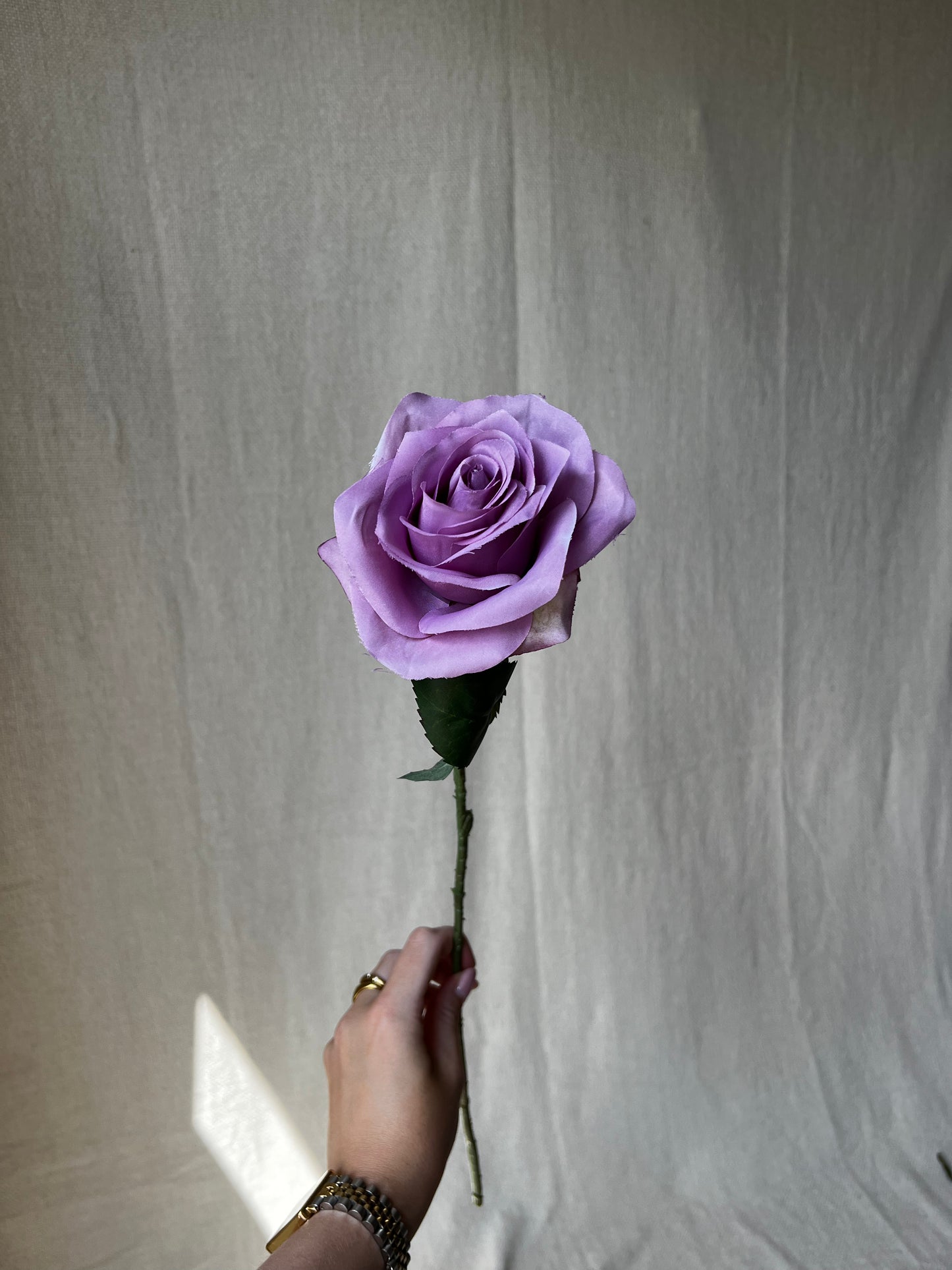 Paarse rozen