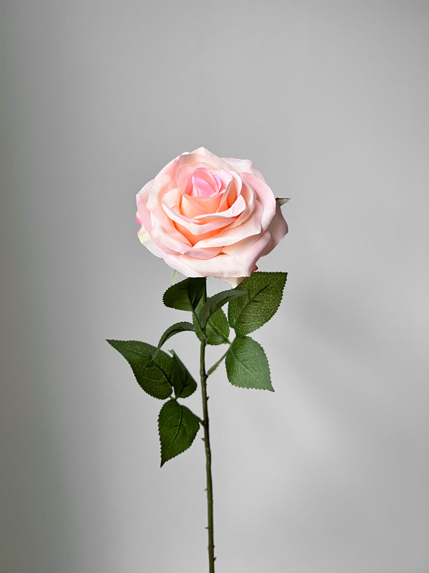Roos roze